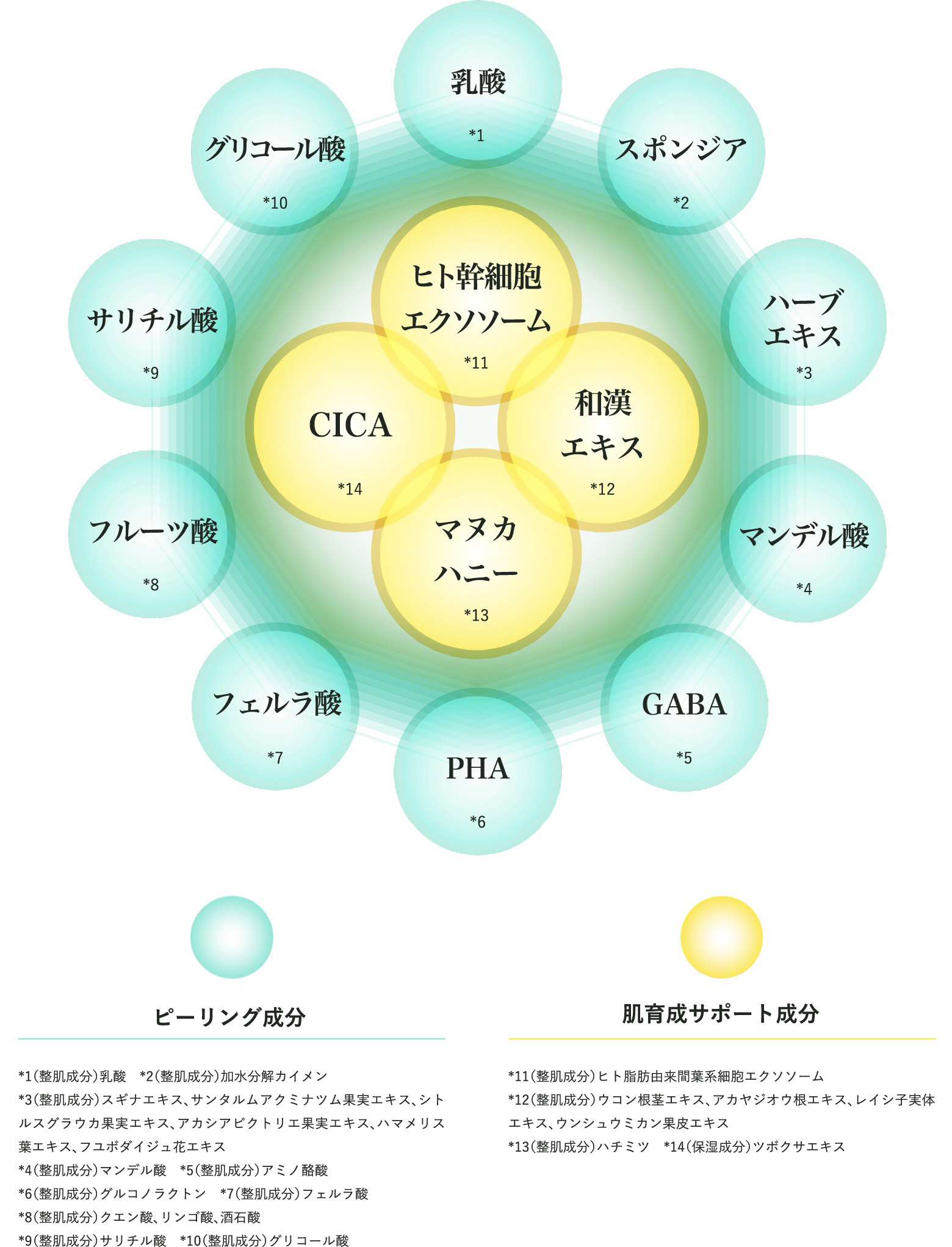 成分の特徴